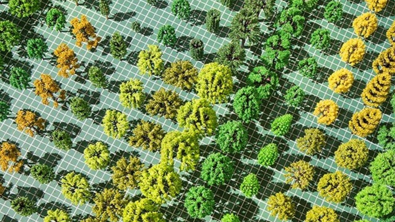 « Arboretum. L’arbre comme architecture »