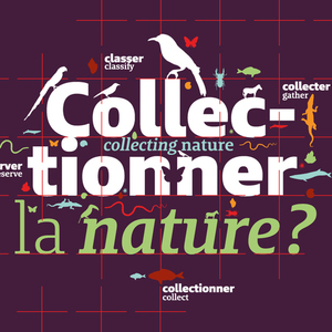 Collectionner la nature ?