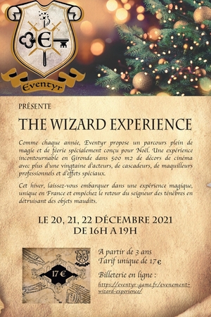 ⚡️ The Wizard Experience : Vivez un Noël Magique