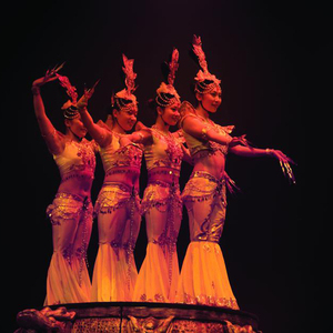 Le cirque Phénix