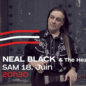 Neal Black & The Healers