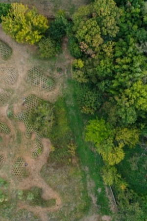 Exposition « Une parcelle dédiée à l'art environnemental »