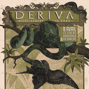 Deriva x La Drache