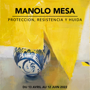 EXPOSITION MANOLO MESA - Proteccion, Resistencia y huida