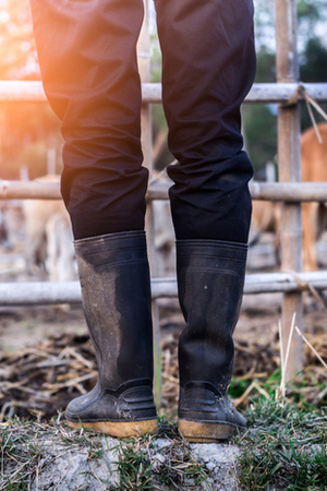 DROIT DANS MES BOTTES • Les Attracteurs étranges