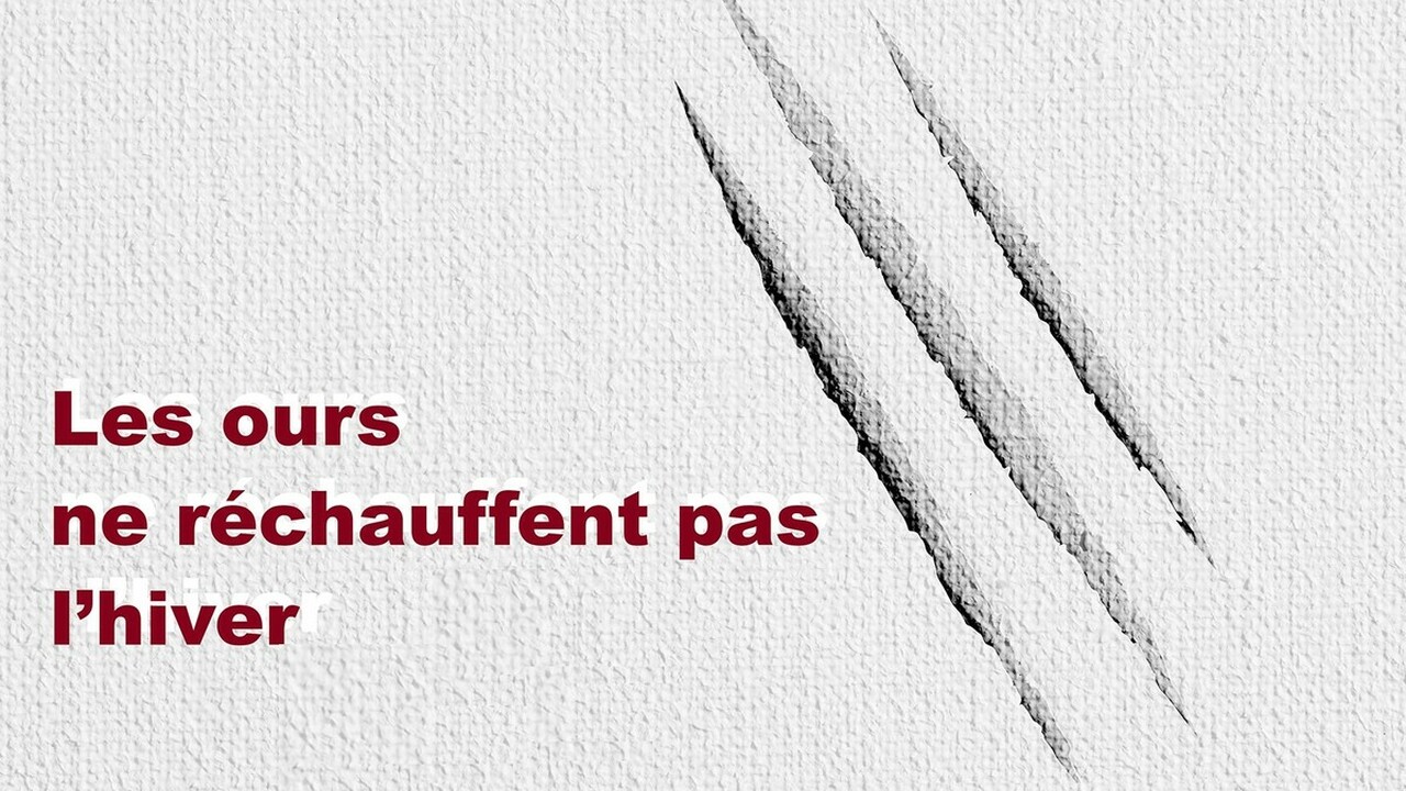 Les Ours ne réchauffent pas l