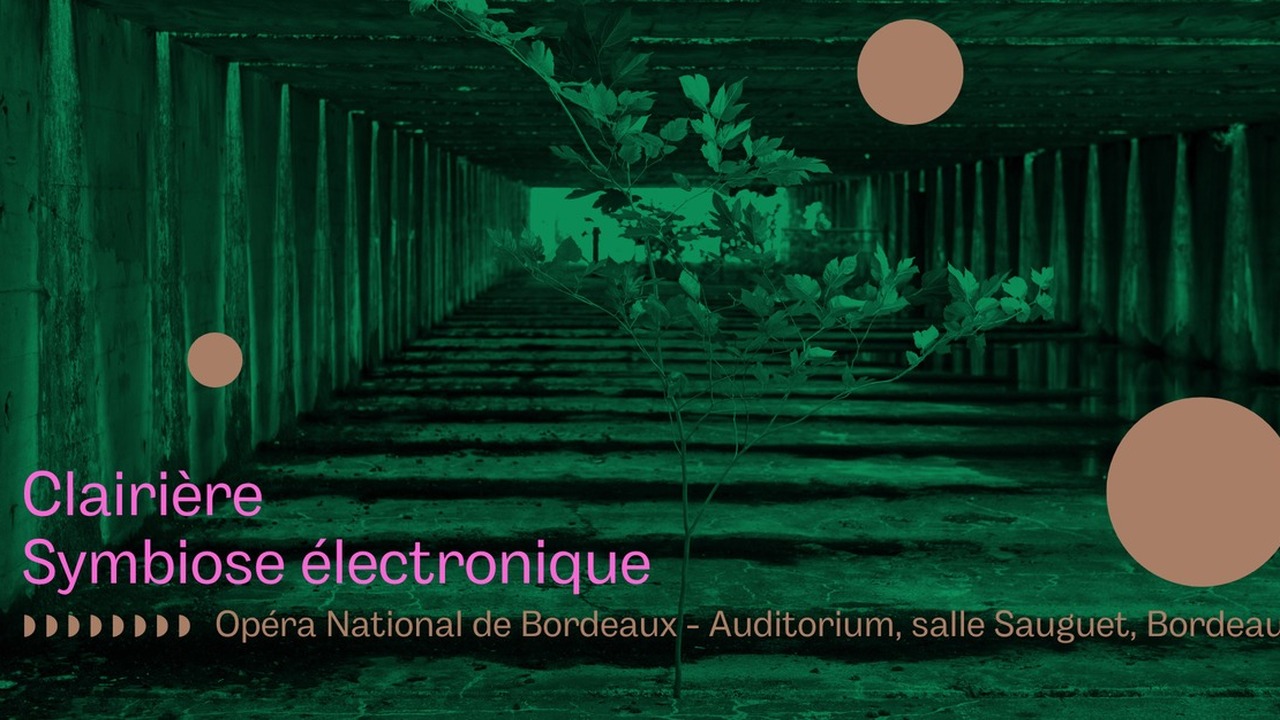 Clairière - Symbiose électronique