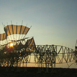 Theo Jansen - Strandbeest, The New Generation
