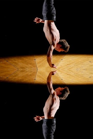 Nartiste (titre provisoire)