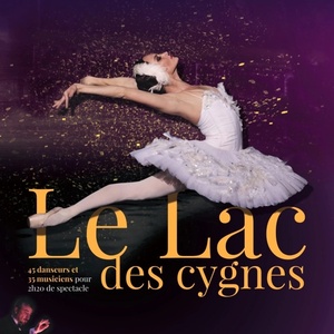 LE LAC DES CYGNES