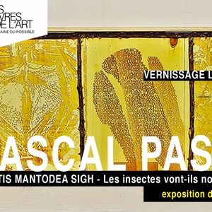 Pascal Pas - Mantis Mantodea Sigh