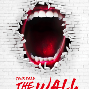 THE WALL - THE PINK FLOYD