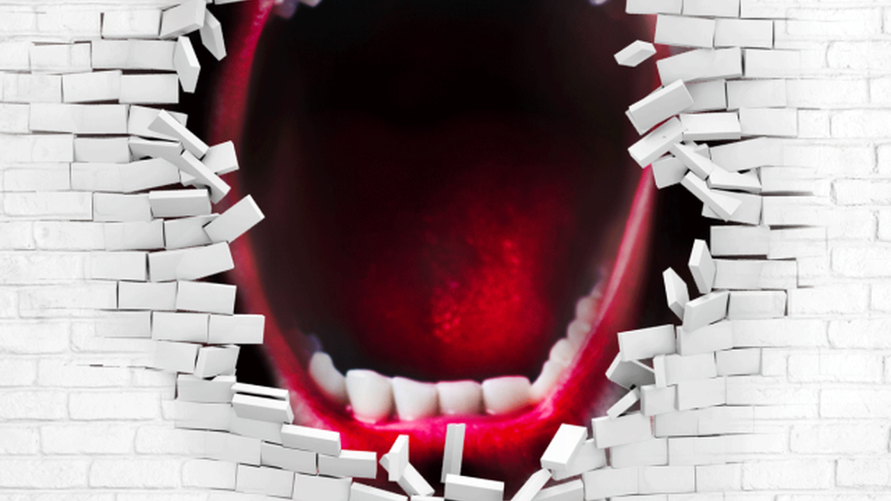 THE WALL - THE PINK FLOYD