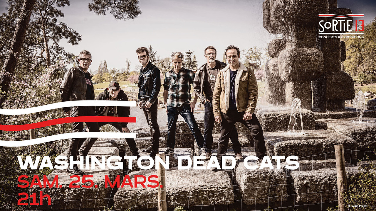 WASHINGTON DEAD CATS
