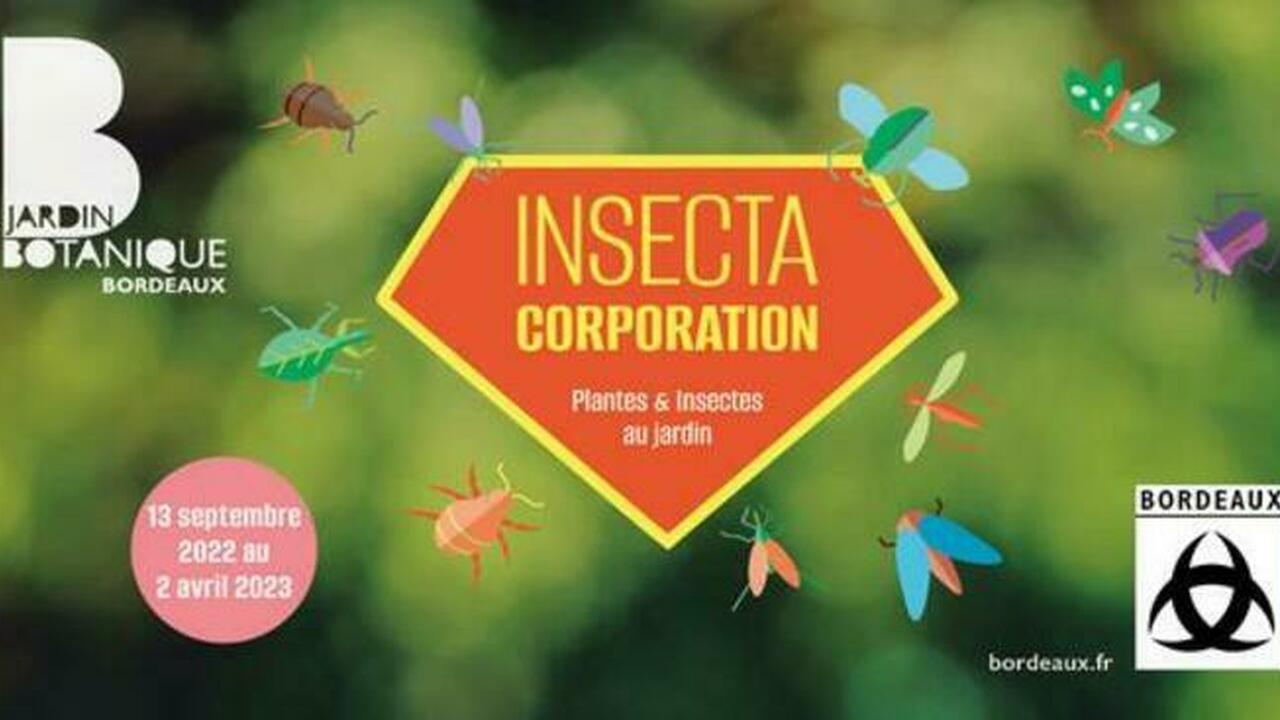 Insecta Corporation