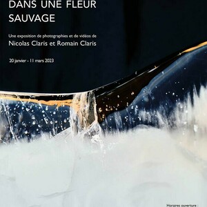 Un ciel dans une fleur sauvage