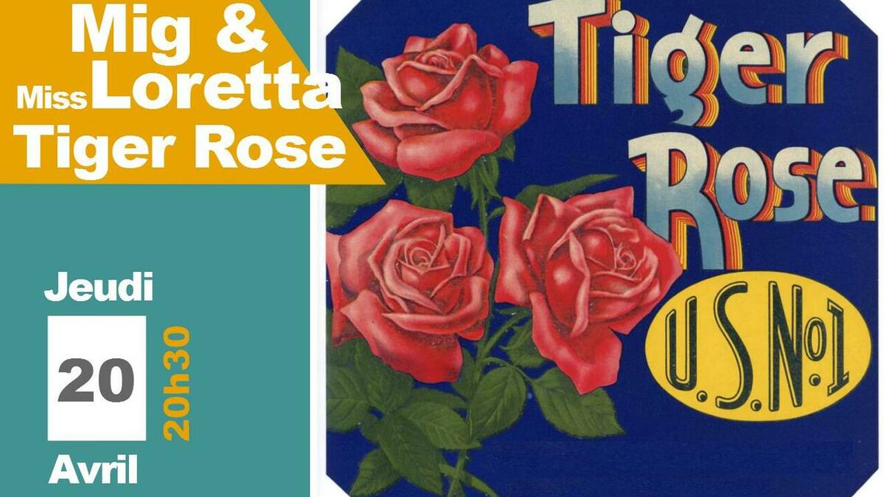 Tiger rose Mig & Miss Loretta