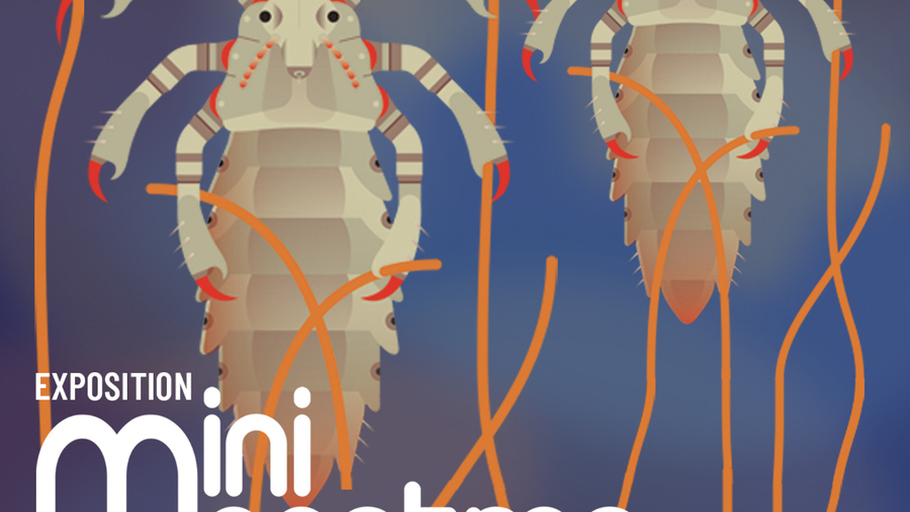 Mini-monstres