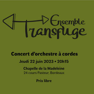 Ensemble Transfuge en concert