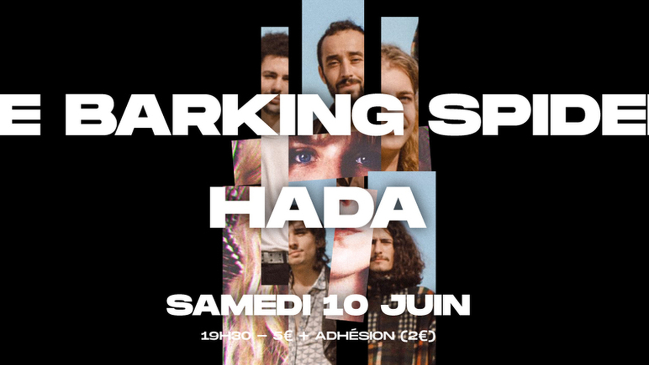 Concert Sous Terre #37 / The Barking Spiders x HADA