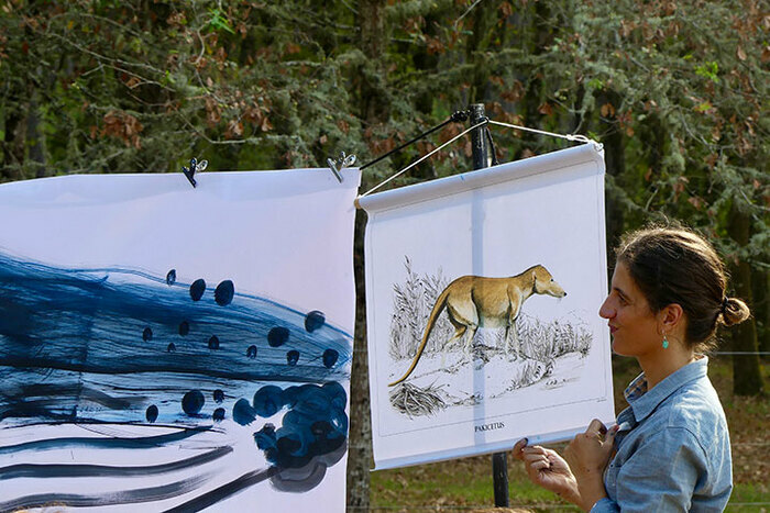 POURQUOI LE SAUT DES BALEINES • Compagnie du Tout Vivant