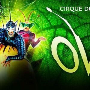 Cirque du soleil - OVO