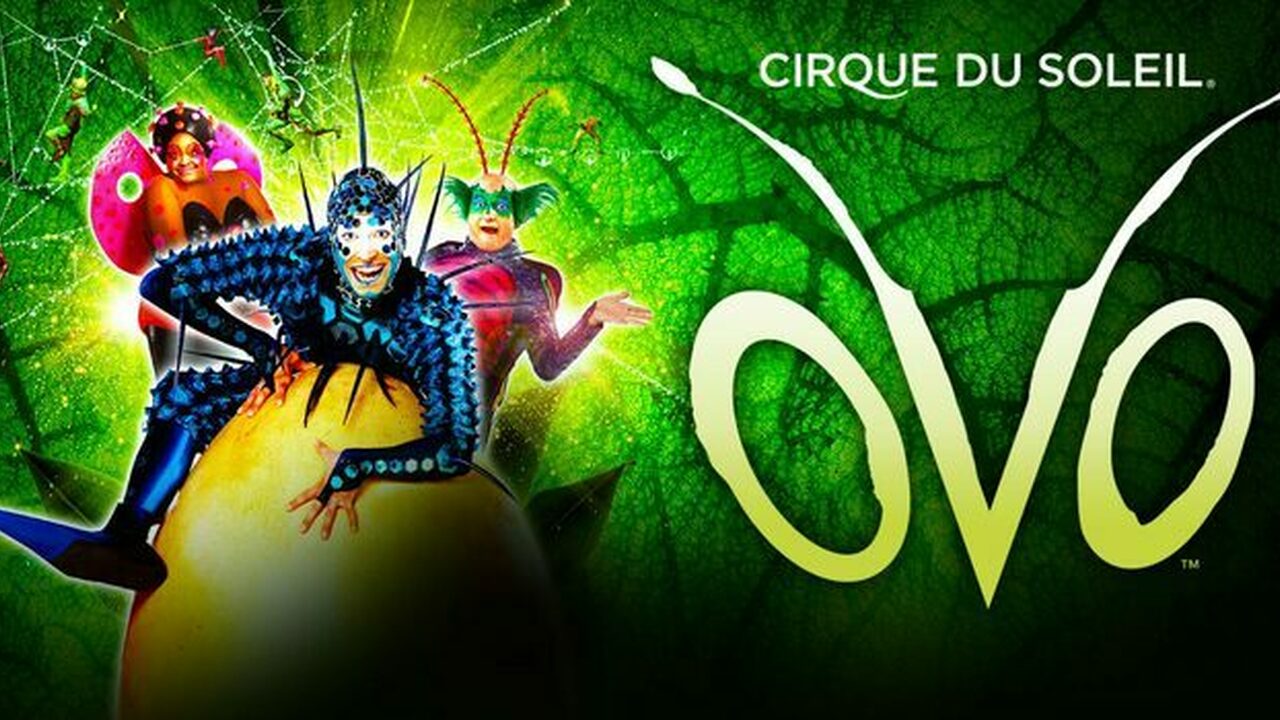 Cirque du soleil - OVO