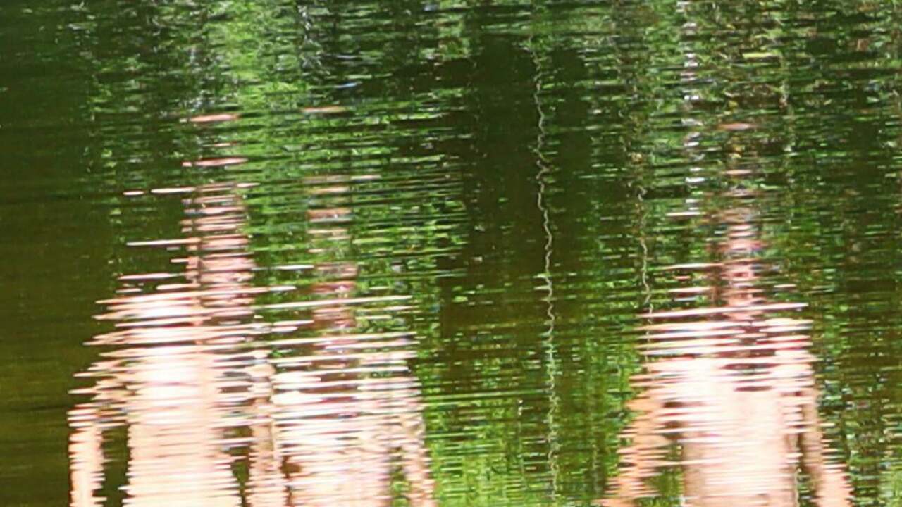 France Sauvage
