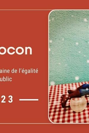 « Blanc Flocon » R.O.G.E.R. cie  (Théâtre, jeune public à partir de 5 ans)