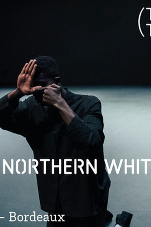 The Very Last Northern White Rhino - Gaston Core