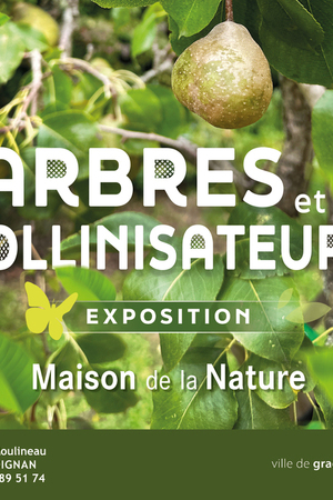 Exposition 