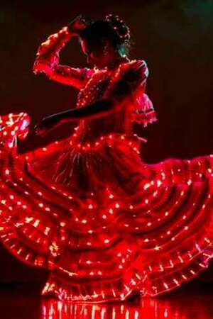 WE CALL IT FLAMENCO