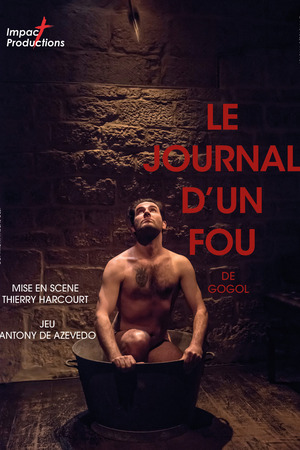Le journal d'un fou