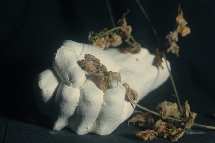 [ANNULÉ] PAIN MAGAZINE - BIRDS IN ROW X LOUISAHHH X MAELSTROM X QUENTIN SAUVÉ