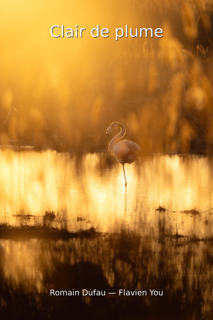 CLAIR DE PLUME PAR ROMAIN DUFAU ET FLAVIEN YOU