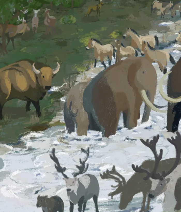 Spectacle scientifique / Néandertal :  l’enquête continue !