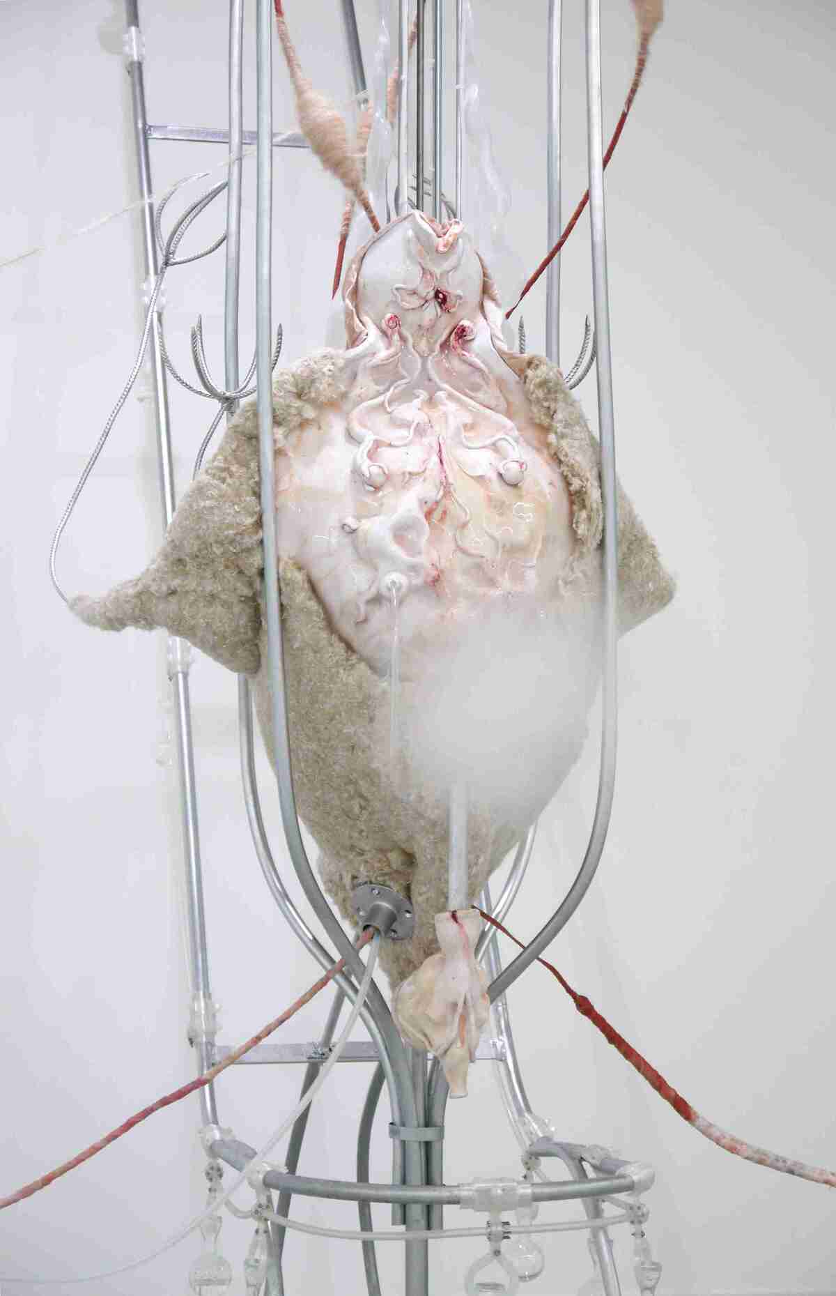 Vernissage de l'exposition Interférences d'Anaïs Gauthier