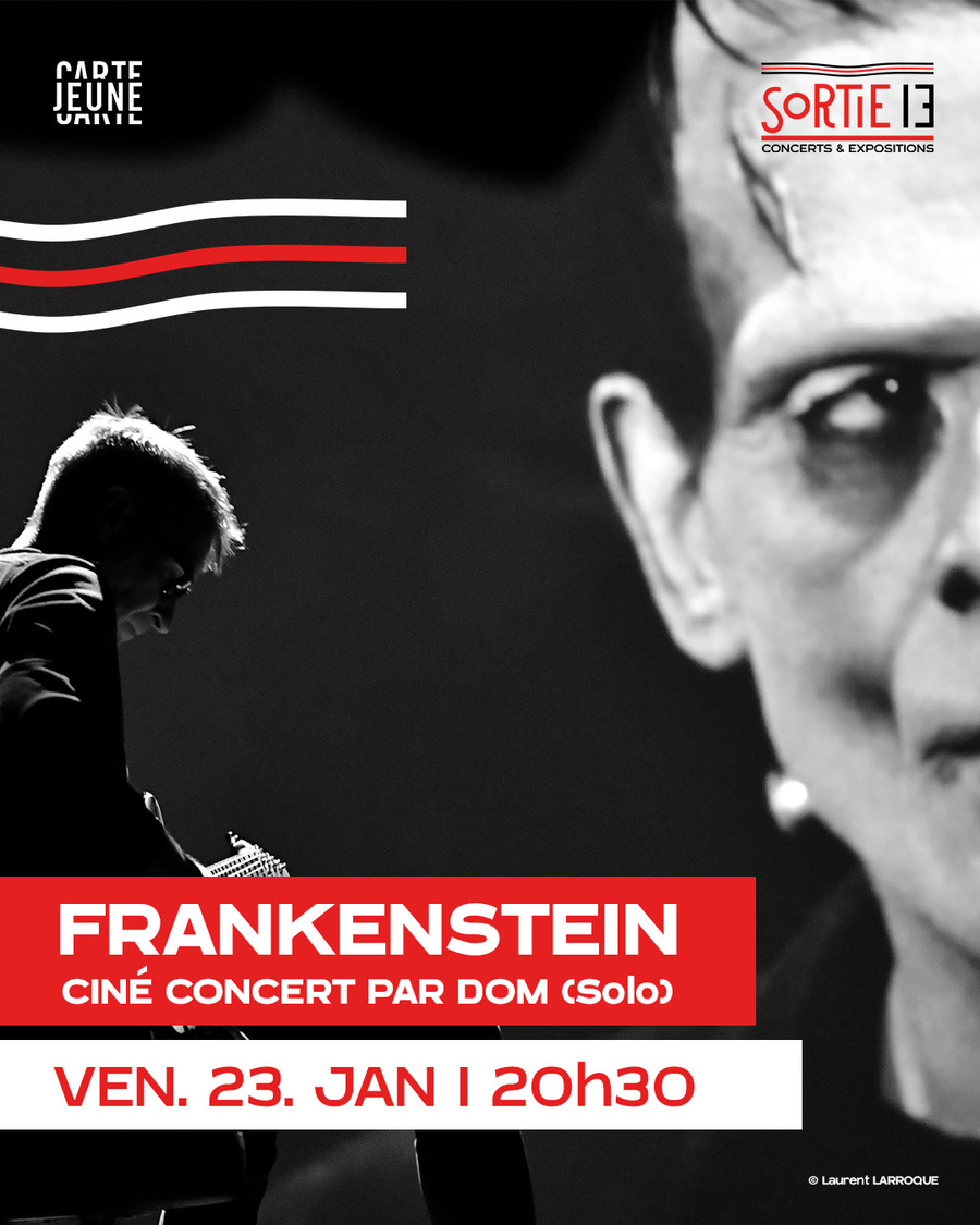FRANKENSTEIN / Ciné Concert par Dom (Solo)