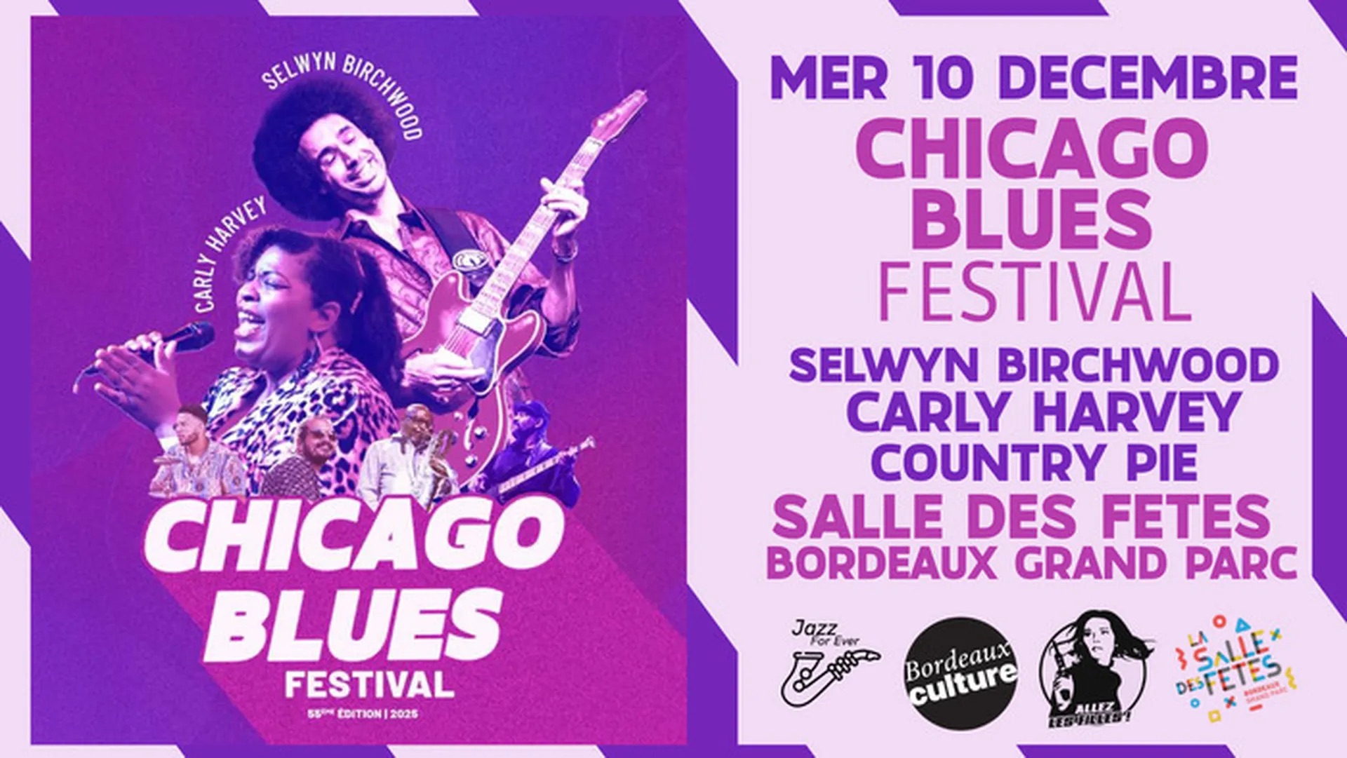 Chicago Blues Festival