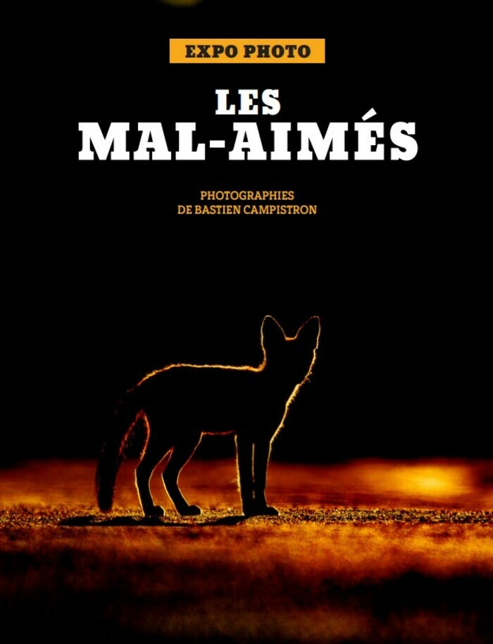 LES MAL-AIMÉS / expo photo par BASTIEN CAMPISTRON
