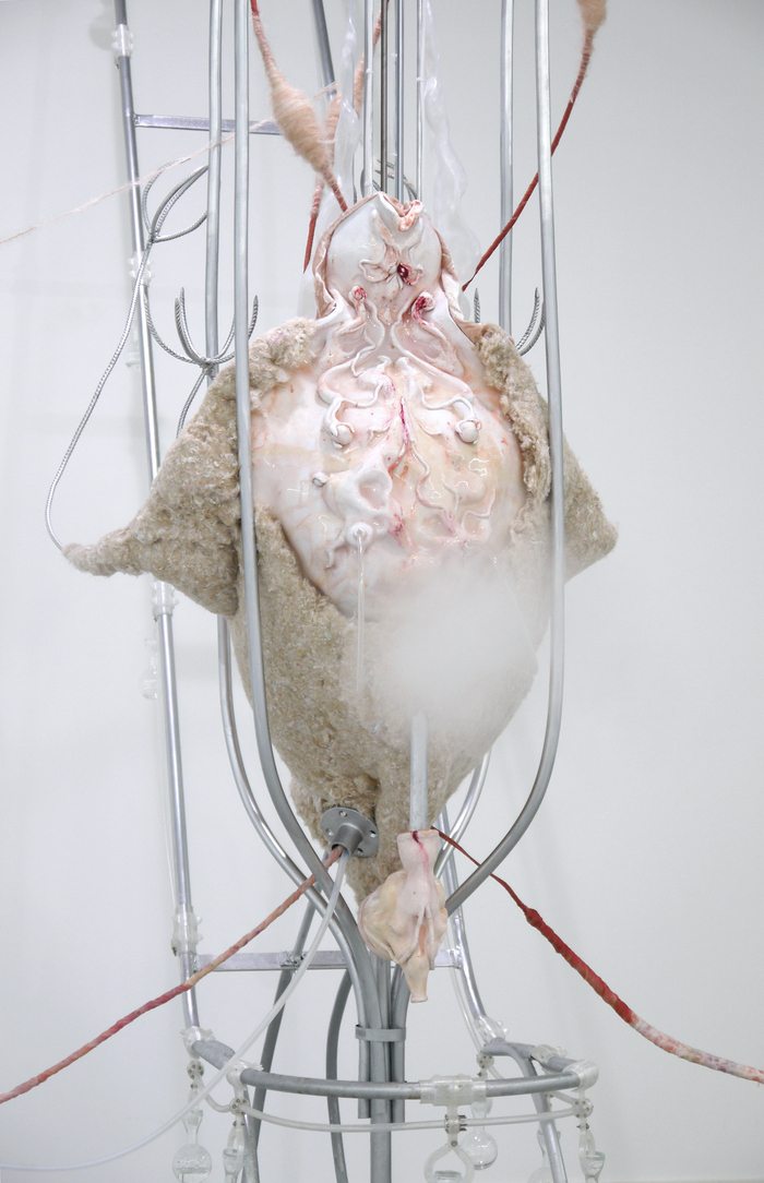 Exposition Interférences d'Anaïs Gauthier