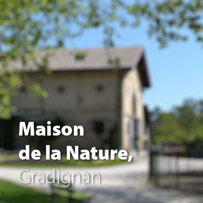 L'Arbre un patrimoine à conserver