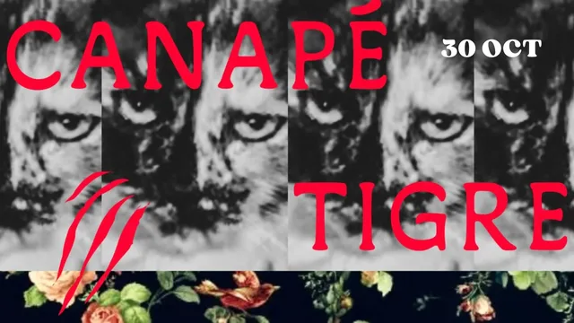 Canapé Tigre DJ set