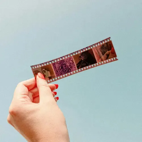 Aux origines du cinéma : les jouets optiques