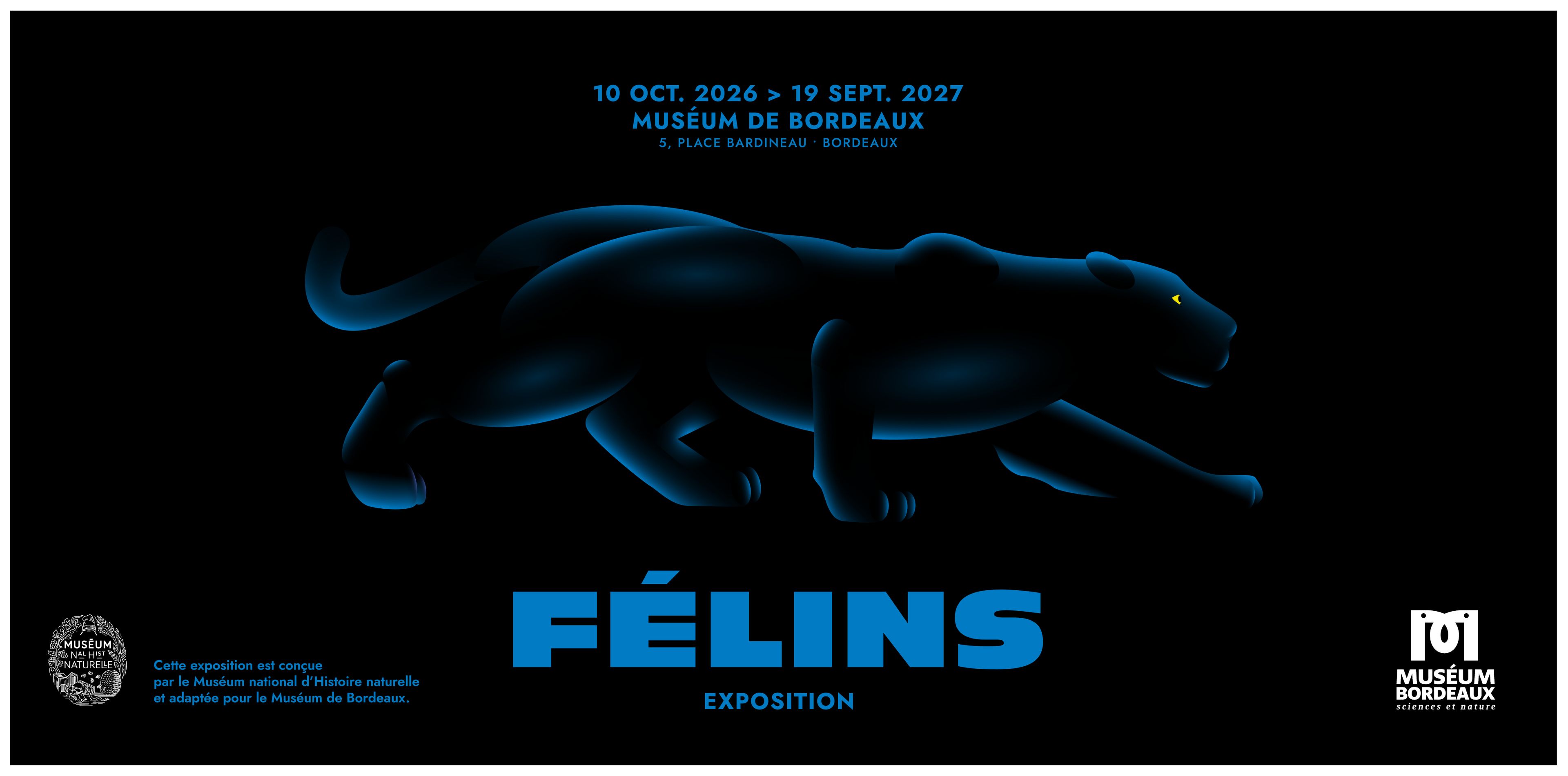 Félins