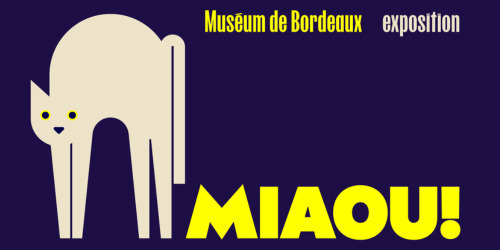 Miaou !