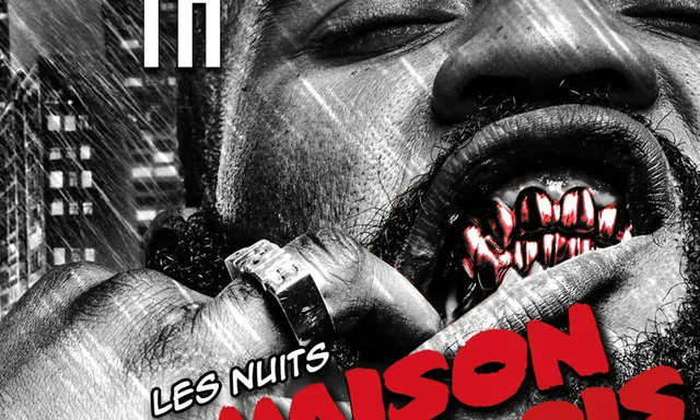 LES NUITS MAISON DE BOIS : TH