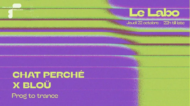 Pelles Melles : Bloü b2b Chat Perché