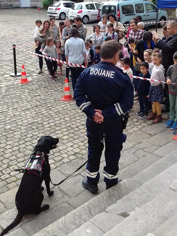 Rencontre avec une équipe maître de chien et découverte des métiers de la douane